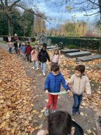 whatsapp image 2025-11-15 at 22.16.26 7